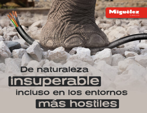 VULCANFLEX DE MIGUÉLEZ